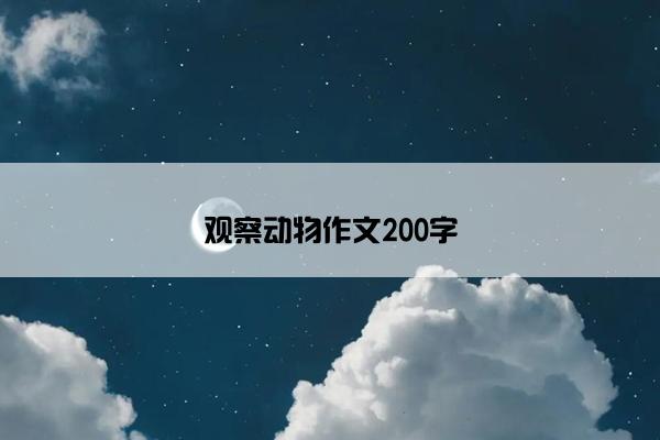 观察动物作文200字