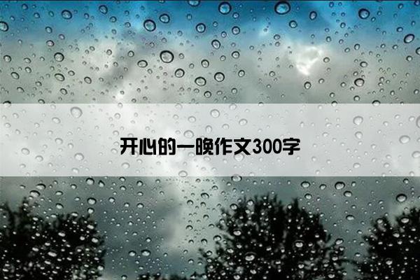 开心的一晚作文300字