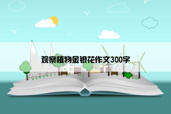 观察植物金银花作文300字