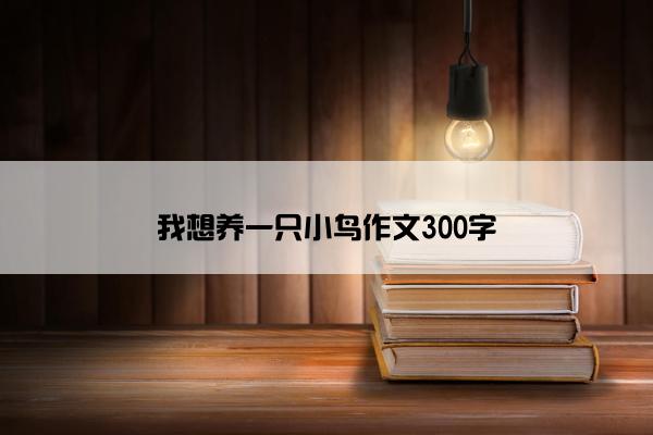 我想养一只小鸟作文300字