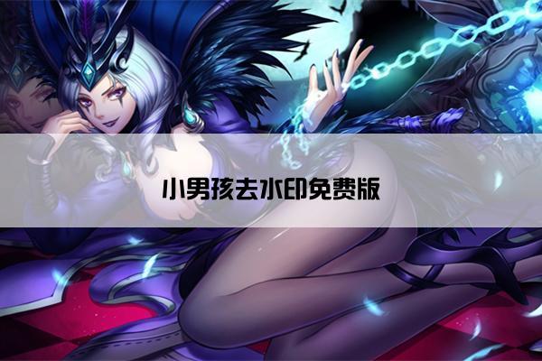 小男孩去水印免费版