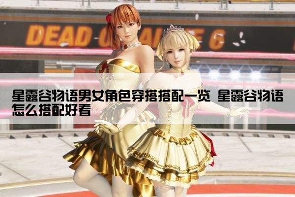 星露谷物语男女角色穿搭搭配一览 星露谷物语怎么搭配好看