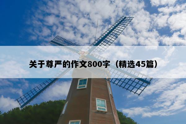 关于尊严的作文800字（精选45篇）