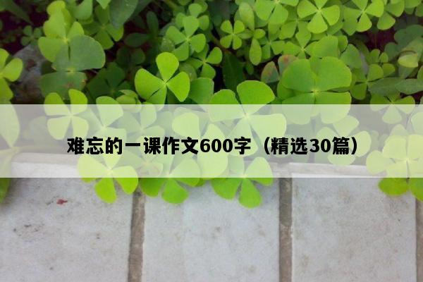 难忘的一课作文600字（精选30篇）