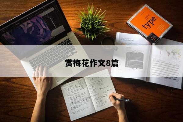 赏梅花作文8篇