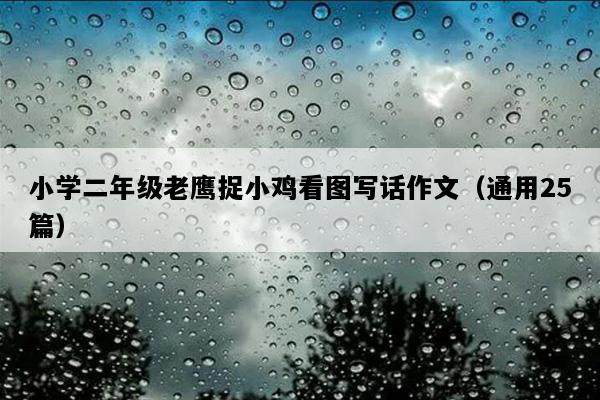 小学二年级老鹰捉小鸡看图写话作文（通用25篇）