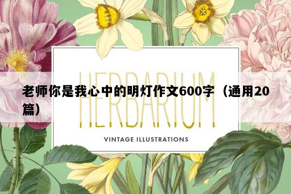 老师你是我心中的明灯作文600字（通用20篇）