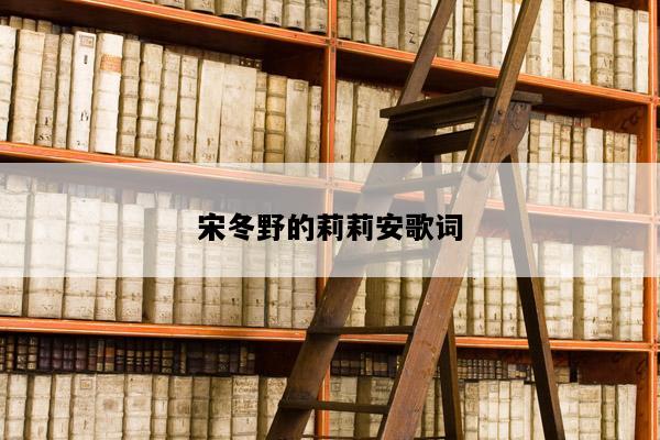 宋冬野的莉莉安歌词