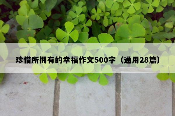 珍惜所拥有的幸福作文500字（通用28篇）