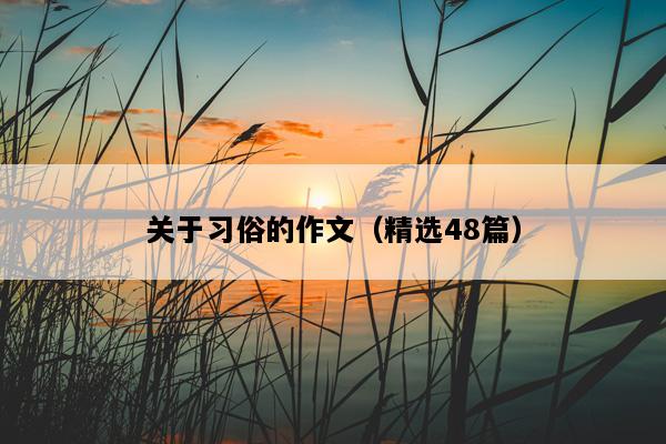 关于习俗的作文（精选48篇）