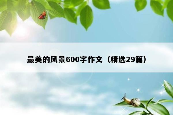 最美的风景600字作文（精选29篇）