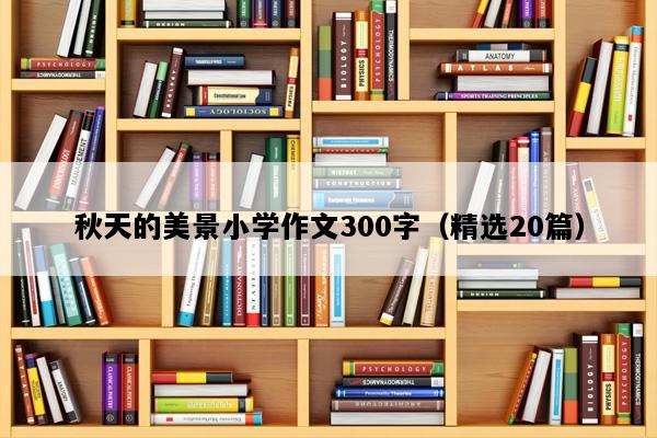 秋天的美景小学作文300字（精选20篇）