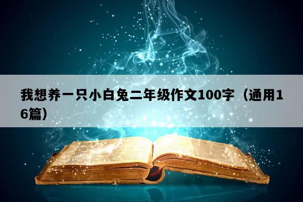 我想养一只小白兔二年级作文100字（通用16篇）