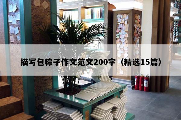 描写包粽子作文范文200字（精选15篇）