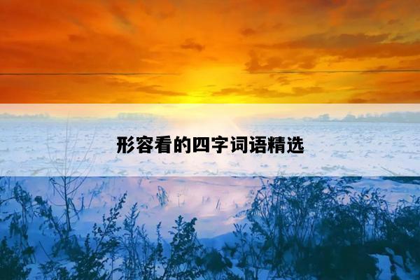 形容看的四字词语精选