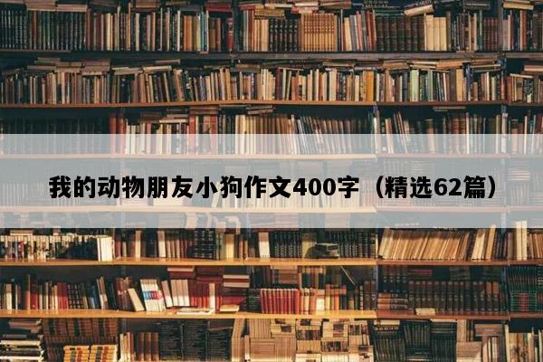 我的动物朋友小狗作文400字（精选62篇）