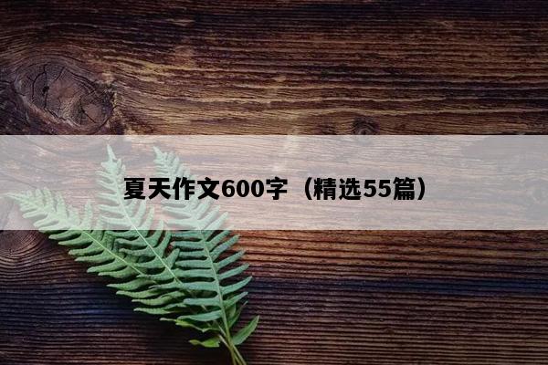 夏天作文600字（精选55篇）