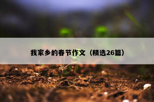 我家乡的春节作文（精选26篇）