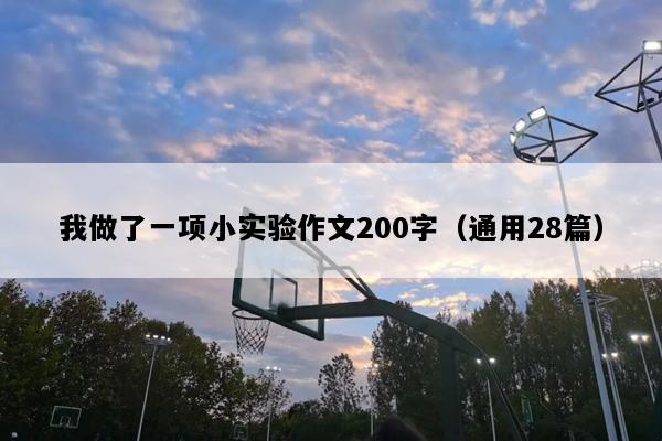 我做了一项小实验作文200字（通用28篇）