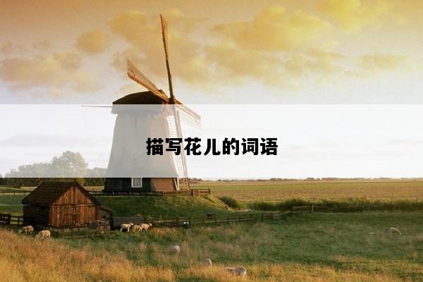 描写花儿的词语