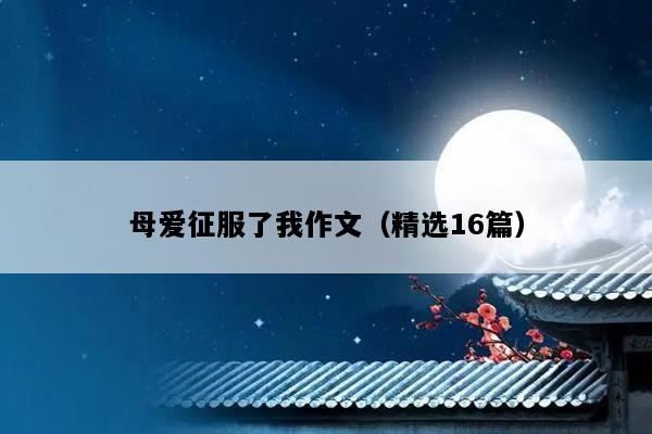 母爱征服了我作文（精选16篇）