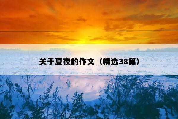 关于夏夜的作文（精选38篇）