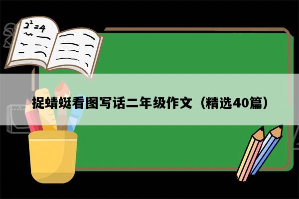 捉蜻蜓看图写话二年级作文（精选40篇）