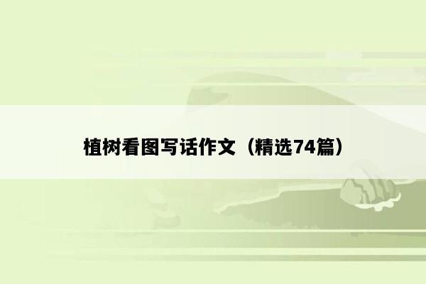 植树看图写话作文（精选74篇）