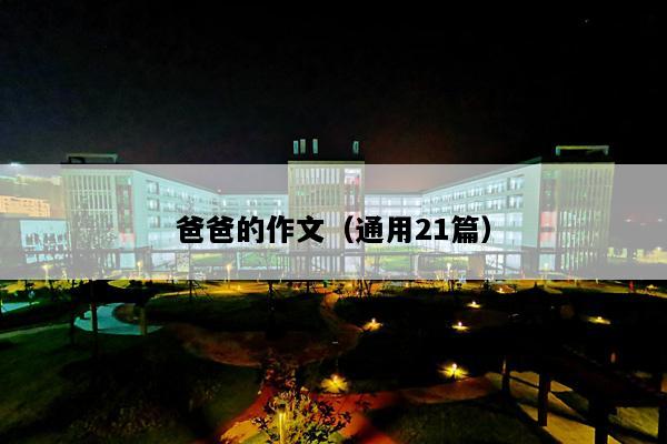 爸爸的作文（通用21篇）