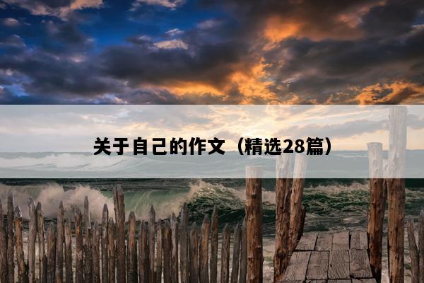 关于自己的作文（精选28篇）