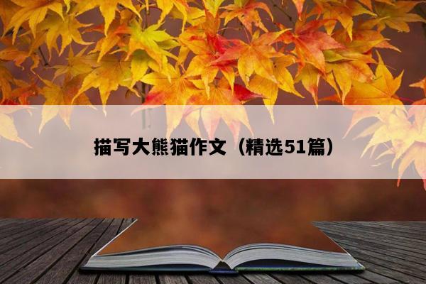 描写大熊猫作文（精选51篇）