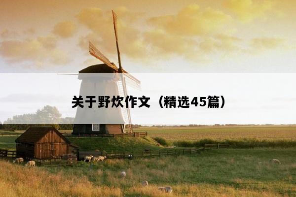 关于野炊作文（精选45篇）