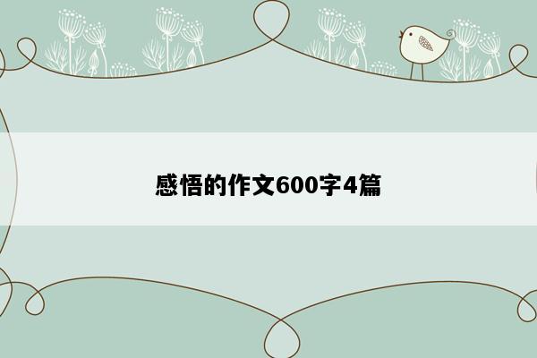 感悟的作文600字4篇