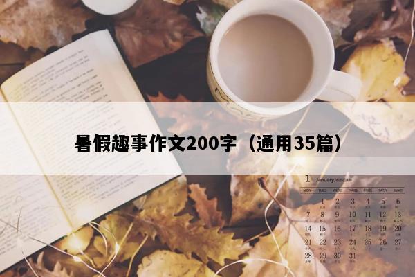 暑假趣事作文200字（通用35篇）