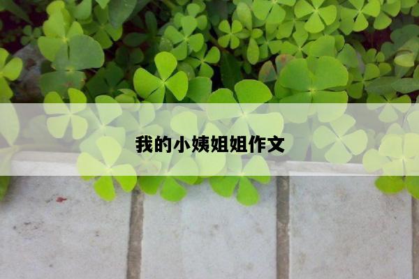 我的小姨姐姐作文