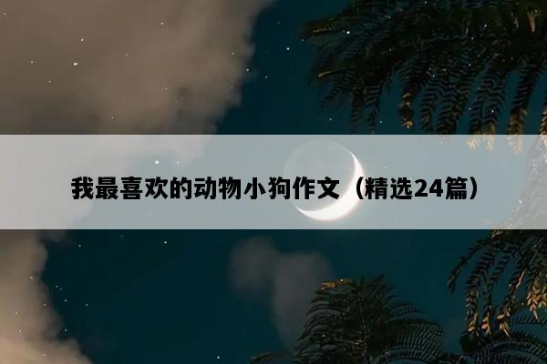 我最喜欢的动物小狗作文（精选24篇）