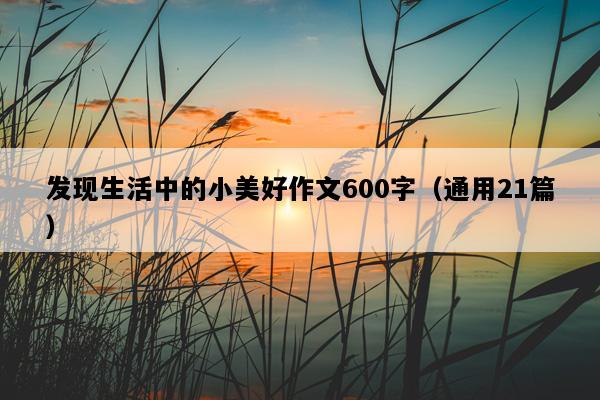 发现生活中的小美好作文600字（通用21篇）