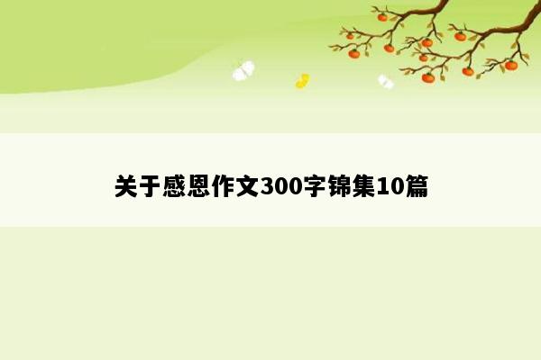关于感恩作文300字锦集10篇