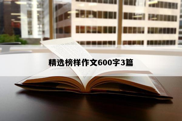 精选榜样作文600字3篇