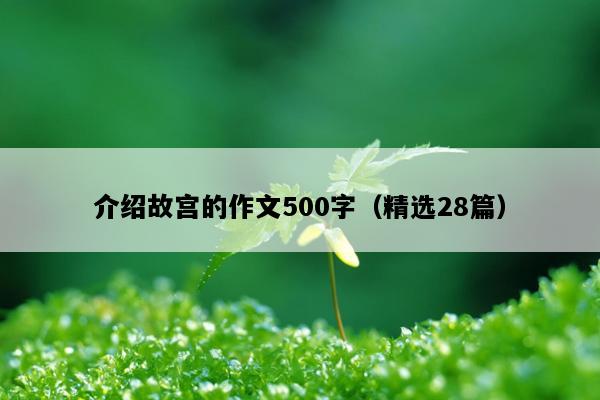 介绍故宫的作文500字（精选28篇）