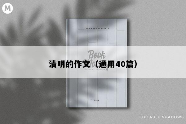 清明的作文（通用40篇）