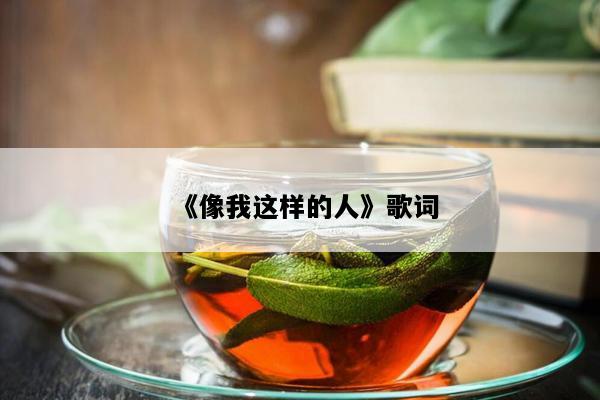 《像我这样的人》歌词