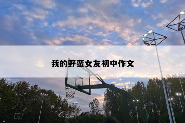 我的野蛮女友初中作文