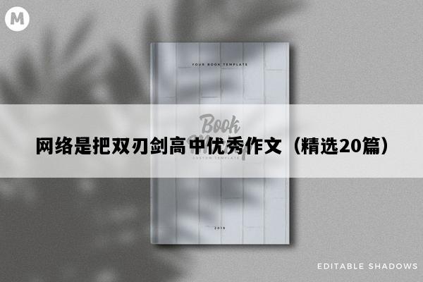 网络是把双刃剑高中优秀作文（精选20篇）