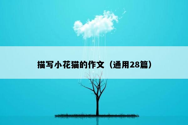 描写小花猫的作文（通用28篇）