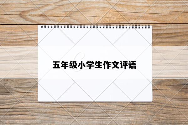 五年级小学生作文评语