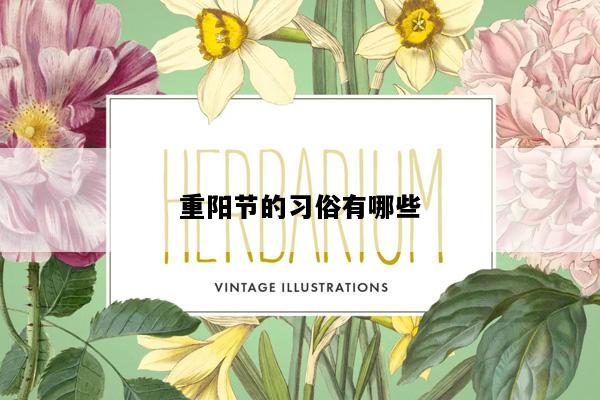 重阳节的习俗有哪些