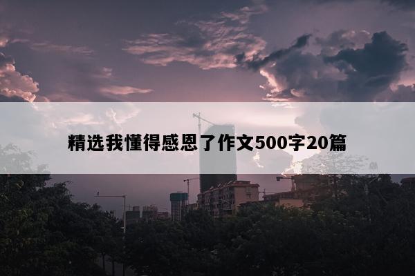 精选我懂得感恩了作文500字20篇