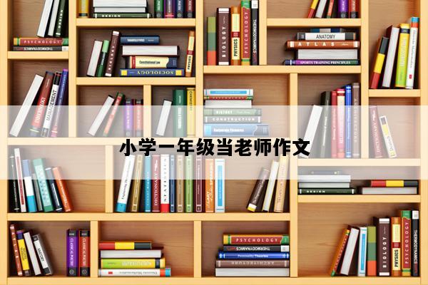 小学一年级当老师作文