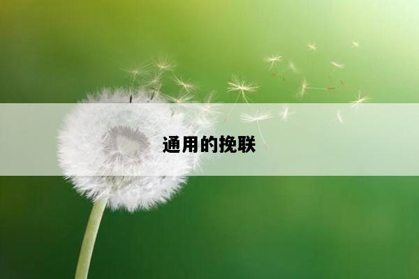 通用的挽联